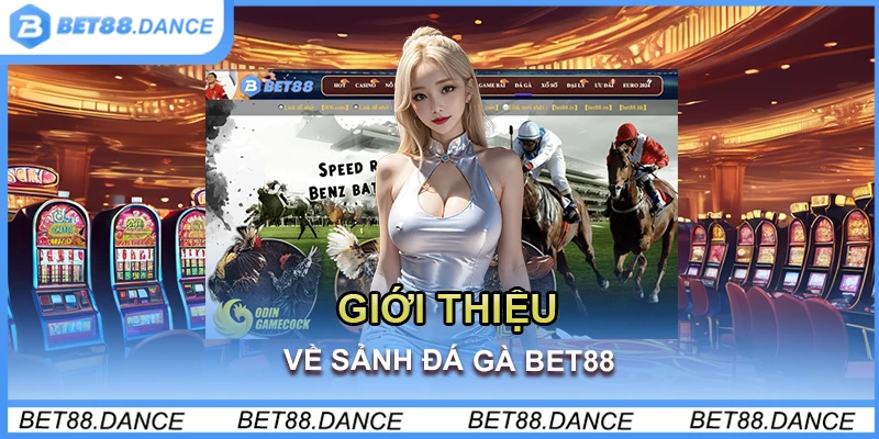 Giới thiệu về sảnh đá gà Bet88