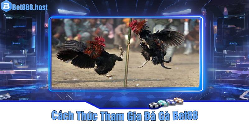 Cách Thức Tham Gia Đá Gà Bet88