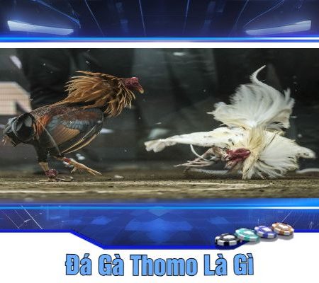 Đá Gà Trực Tiếp Thomo Tại Bet88 – Nền Tảng Cá Cược Uy Tín