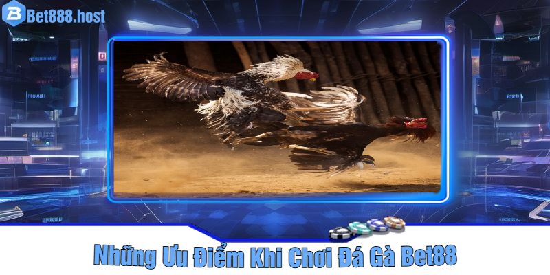 Những Ưu Điểm Khi Chơi Đá Gà Bet88